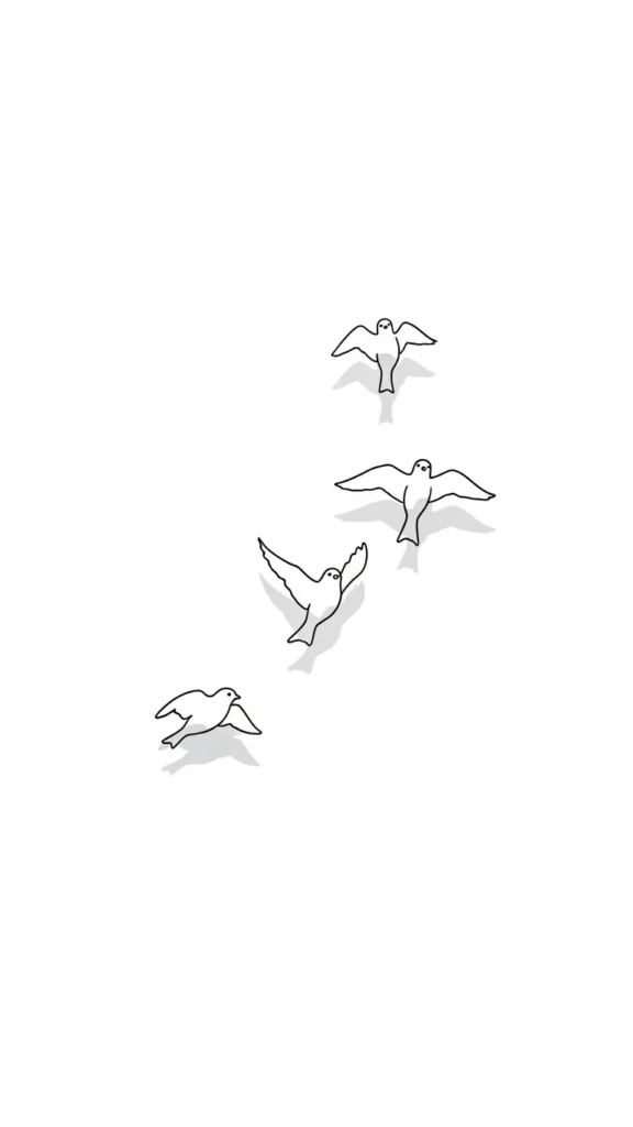 Decide on Single Bird or Flock Design