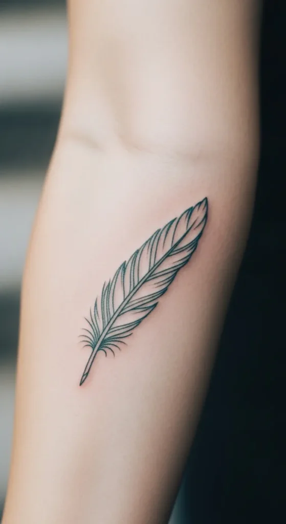 Muted Teal Feather Outline